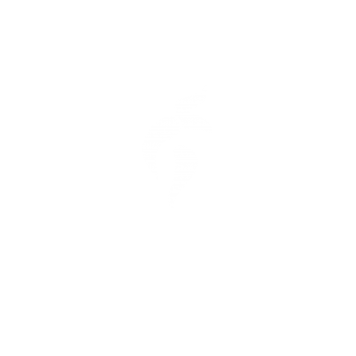 logo-white 01